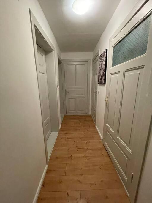 Apartment Moderne Altbauwohnung In