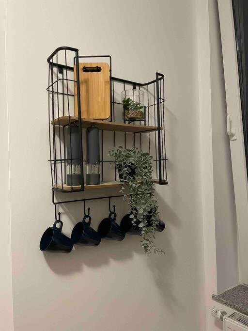 Moderne Altbauwohnung In * Bremerhaven